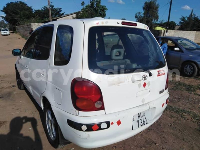 Big with watermark 55514095 1982079128571143 2505713877883289600 n