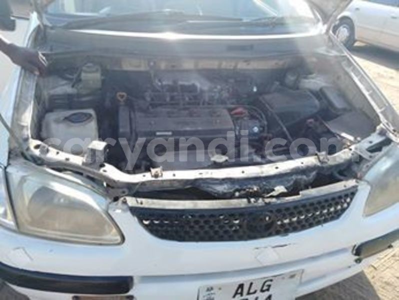 Big with watermark 54433298 1982078615237861 3020703005251993600 n