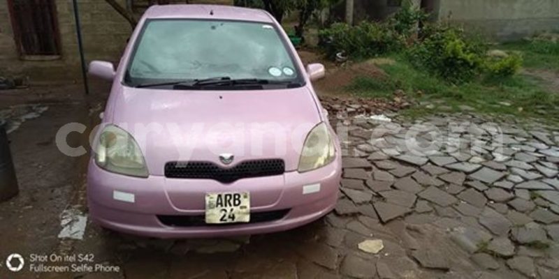 Big with watermark 53098670 1982064505239272 8213871842587312128 n