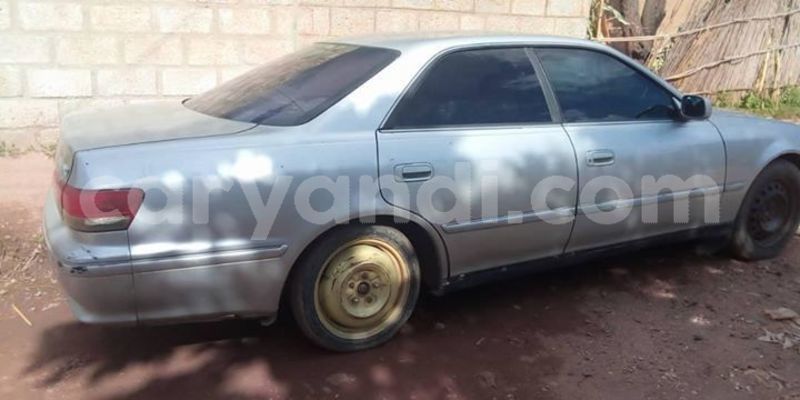 Big with watermark 54436554 1980499362062453 693892347951316992 o