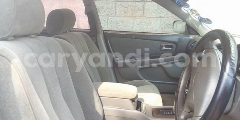 Big with watermark 54411838 1980499302062459 169020127172362240 o