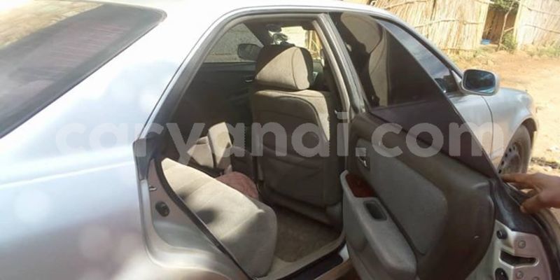 Big with watermark 55520988 1980499132062476 5842408205606453248 o