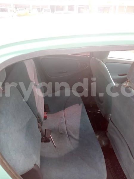 Big with watermark 54521867 1978967178882338 1805525331214336000 n