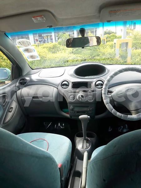 Big with watermark 53639425 1978967262215663 4109854463240437760 n