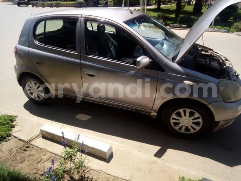 Big with watermark 54524138 1976265292485860 3543167252616445952 n