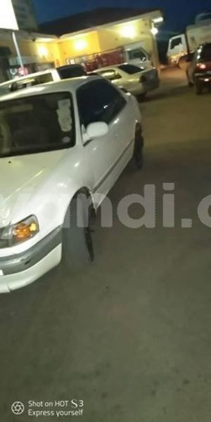 Big with watermark 54523653 1972975316148191 2711652238262009856 n