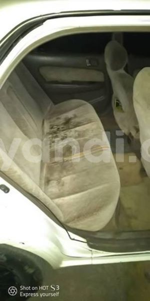 Big with watermark 53435020 1972975499481506 9090331194318389248 n