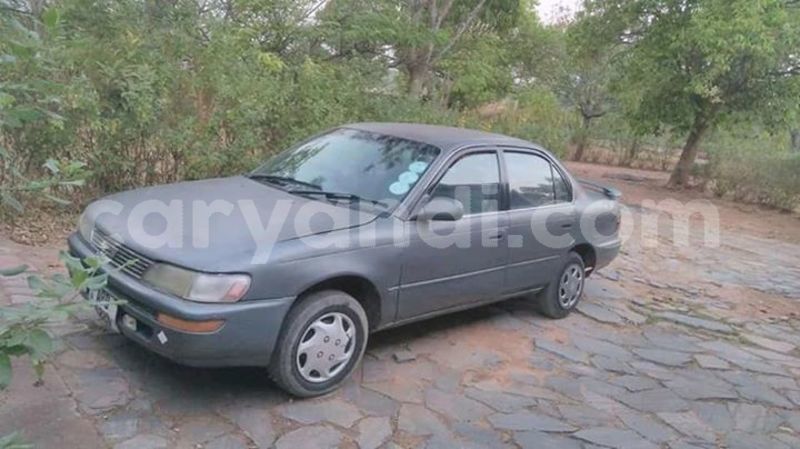 Big with watermark 53167531 1946134562165600 1156109027470475264 n