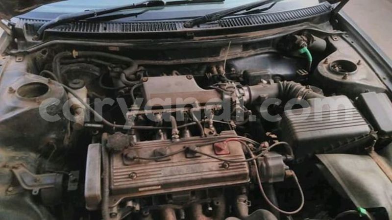 Big with watermark 52410481 1946134865498903 6996196546282782720 n