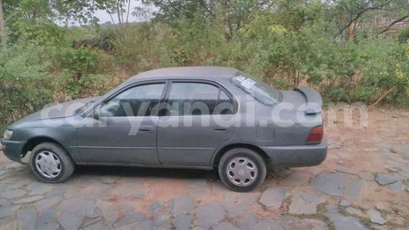 Big with watermark 52596231 1946134615498928 3082342009357205504 n