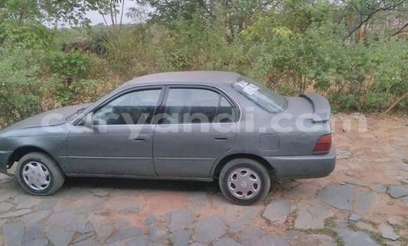 Buy Used Toyota Sprinter Other Car in Lusaka in Zambia Buy Used Toyota Sprinter Other Car in Lusaka in Zambia