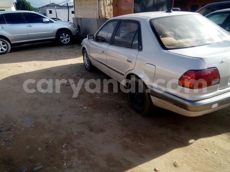 Big with watermark 52749956 1938563882922668 8587305397704982528 n