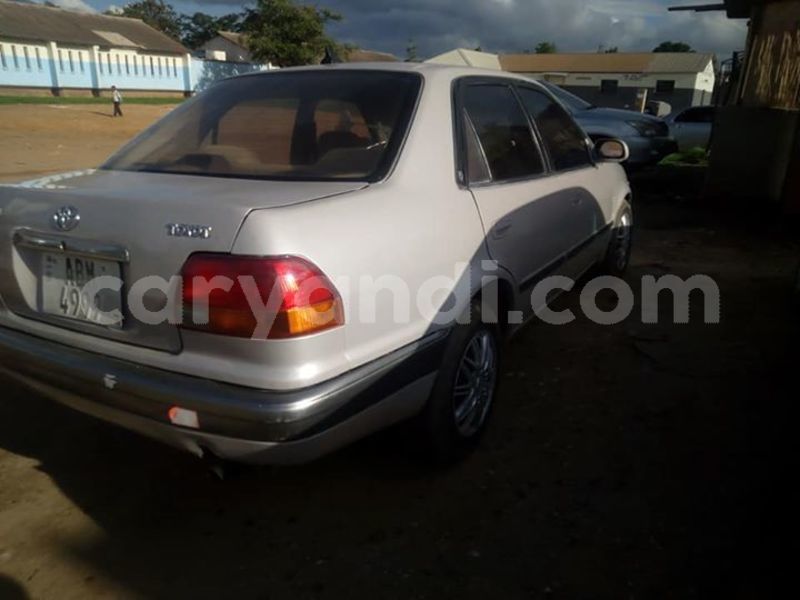 Big with watermark 52607922 1938563812922675 2218121626497581056 n