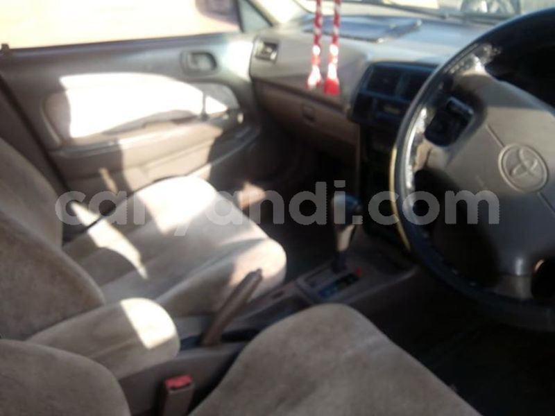 Big with watermark 52588081 1938563679589355 2678584516250959872 n