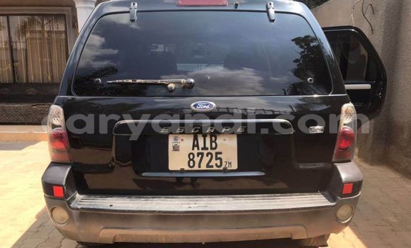 Tenga Tsaru Ford Escape Zvimwe Mota in Lusaka in Zambia Tenga Tsaru Ford Escape Zvimwe Mota in Lusaka in Zambia