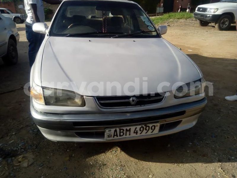 Big with watermark 52051139 1938563519589371 7095201117323132928 n