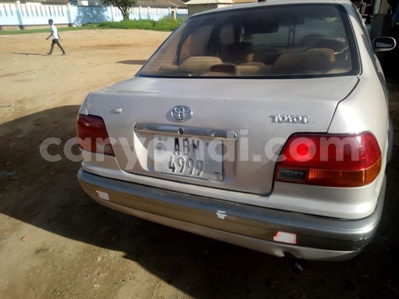 Big with watermark 52308626 1938563409589382 5114056059434041344 n