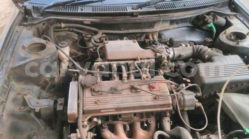 Big with watermark 52657746 1946134905498899 3708964367610413056 n