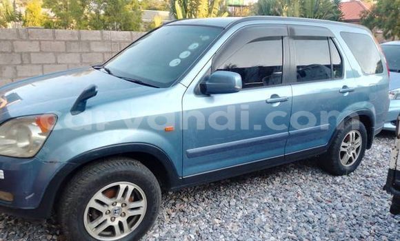 ☆ Cars for sale in zambia - caryandi