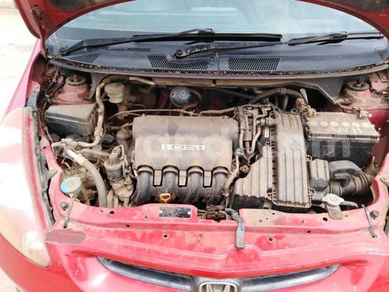 Big with watermark 50572354 1895889143856809 4104047272319254528 n