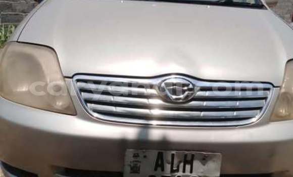 Buy Used Toyota Corolla Other Car in Lusaka in Zambia Buy Used Toyota Corolla Other Car in Lusaka in Zambia