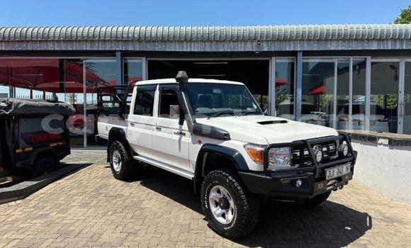 Buy Used Toyota Land Cruiser White Car in Livingstone in Zambia