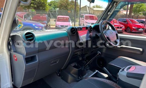 Tenga Tsaru Toyota Land Cruiser Chena Mota in Livingstone in Zambia Tenga Tsaru Toyota Land Cruiser Chena Mota in Livingstone in Zambia