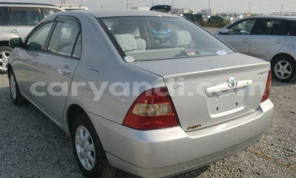 Tenga Tsaru Toyota 4Runner Sirivha Mota in Chingola in Zambia Tenga Tsaru Toyota 4Runner Sirivha Mota in Chingola in Zambia