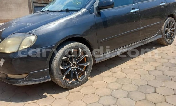 Acheter Occasion Voiture Toyota Runx Autre à Lusaka, Zambie Acheter Occasion Voiture Toyota Runx Autre à Lusaka, Zambie