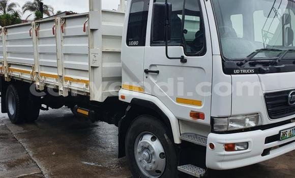 Buy Used Nissan UD White Truck in Solwezi in North-Western