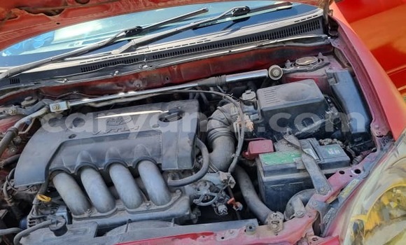 Buy Used Toyota Runx Red Car in Lusaka in Zambia Buy Used Toyota Runx Red Car in Lusaka in Zambia