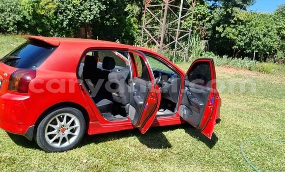 Buy Used Toyota Runx Red Car in Lusaka in Zambia Buy Used Toyota Runx Red Car in Lusaka in Zambia