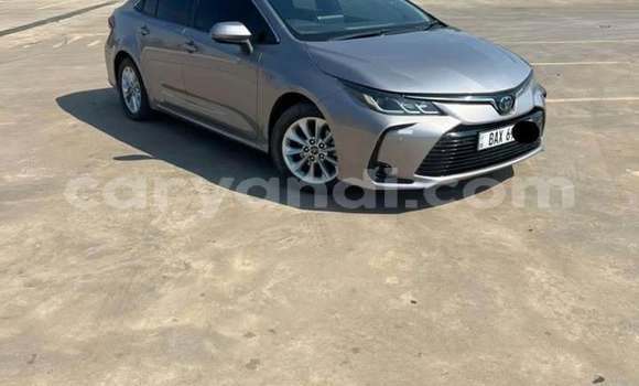 Buy Used Toyota Corolla Other Car in Lusaka in Zambia Buy Used Toyota Corolla Other Car in Lusaka in Zambia