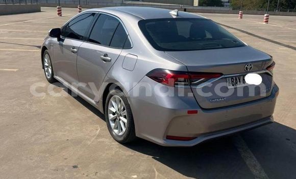 Buy Used Toyota Corolla Other Car in Lusaka in Zambia Buy Used Toyota Corolla Other Car in Lusaka in Zambia