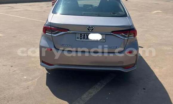 Buy Used Toyota Corolla Other Car in Lusaka in Zambia Buy Used Toyota Corolla Other Car in Lusaka in Zambia