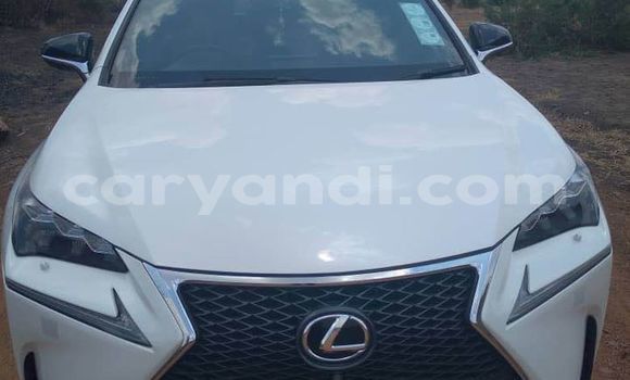 Acheter Occasion Voiture Lexus NX Blanc à Lusaka, Zambie Acheter Occasion Voiture Lexus NX Blanc à Lusaka, Zambie