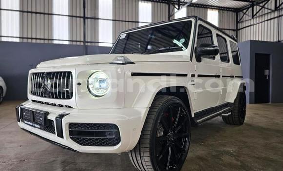 Buy Used Mercedes‒Benz G-klasse White Car in Lusaka in Zambia Buy Used Mercedes‒Benz G-klasse White Car in Lusaka in Zambia