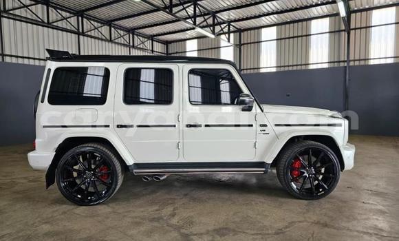 Buy Used Mercedes‒Benz G-klasse White Car in Lusaka in Zambia Buy Used Mercedes‒Benz G-klasse White Car in Lusaka in Zambia