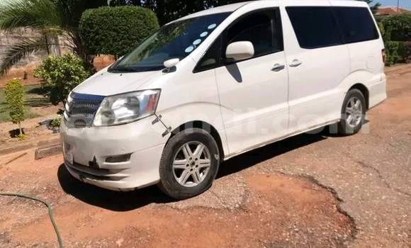 Buy Used Toyota Alphard White Car in Lusaka in Zambia