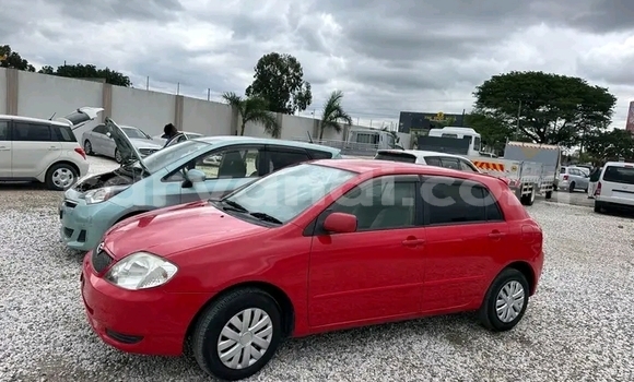 Acheter Occasion Voiture Toyota Runx Rouge à Import - Dubai, Zambie Acheter Occasion Voiture Toyota Runx Rouge à Import - Dubai, Zambie