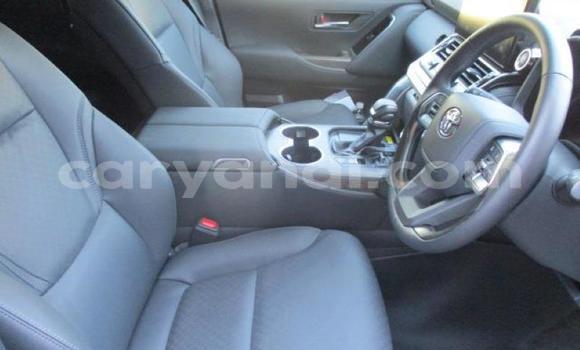 Tenga Tsaru Toyota Land Cruiser Sirivha Mota in Lusaka in Zambia Tenga Tsaru Toyota Land Cruiser Sirivha Mota in Lusaka in Zambia