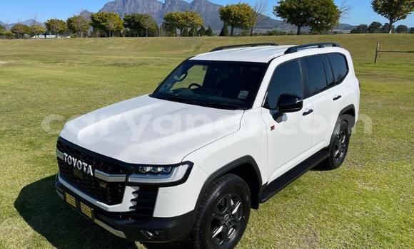 Tenga Tsaru Toyota Land Cruiser Chena Mota in Lusaka in Zambia Tenga Tsaru Toyota Land Cruiser Chena Mota in Lusaka in Zambia