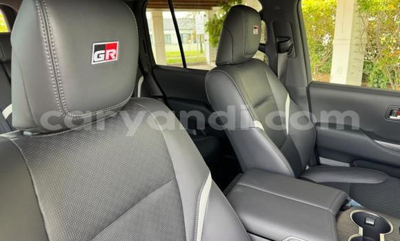 Tenga Tsaru Toyota Land Cruiser Chena Mota in Lusaka in Zambia Tenga Tsaru Toyota Land Cruiser Chena Mota in Lusaka in Zambia