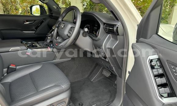 Tenga Tsaru Toyota Land Cruiser Chena Mota in Lusaka in Zambia Tenga Tsaru Toyota Land Cruiser Chena Mota in Lusaka in Zambia