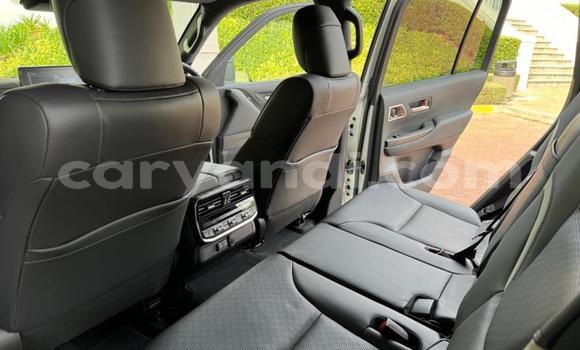 Tenga Tsaru Toyota Land Cruiser Chena Mota in Lusaka in Zambia Tenga Tsaru Toyota Land Cruiser Chena Mota in Lusaka in Zambia