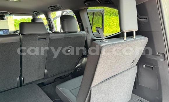 Tenga Tsaru Toyota Land Cruiser Chena Mota in Lusaka in Zambia Tenga Tsaru Toyota Land Cruiser Chena Mota in Lusaka in Zambia