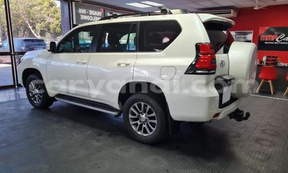 Nunua Ilio tumika Toyota Land Cruiser Prado Nyeupe Gari ndani ya Kitwe nchini Zambia Nunua Ilio tumika Toyota Land Cruiser Prado Nyeupe Gari ndani ya Kitwe nchini Zambia
