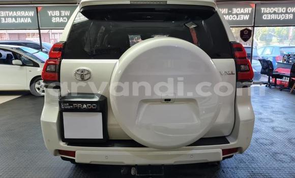 Nunua Ilio tumika Toyota Land Cruiser Prado Nyeupe Gari ndani ya Kitwe nchini Zambia Nunua Ilio tumika Toyota Land Cruiser Prado Nyeupe Gari ndani ya Kitwe nchini Zambia