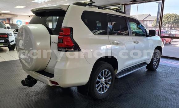 Nunua Ilio tumika Toyota Land Cruiser Prado Nyeupe Gari ndani ya Kitwe nchini Zambia Nunua Ilio tumika Toyota Land Cruiser Prado Nyeupe Gari ndani ya Kitwe nchini Zambia