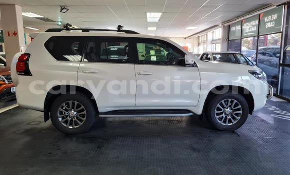 Nunua Ilio tumika Toyota Land Cruiser Prado Nyeupe Gari ndani ya Kitwe nchini Zambia Nunua Ilio tumika Toyota Land Cruiser Prado Nyeupe Gari ndani ya Kitwe nchini Zambia